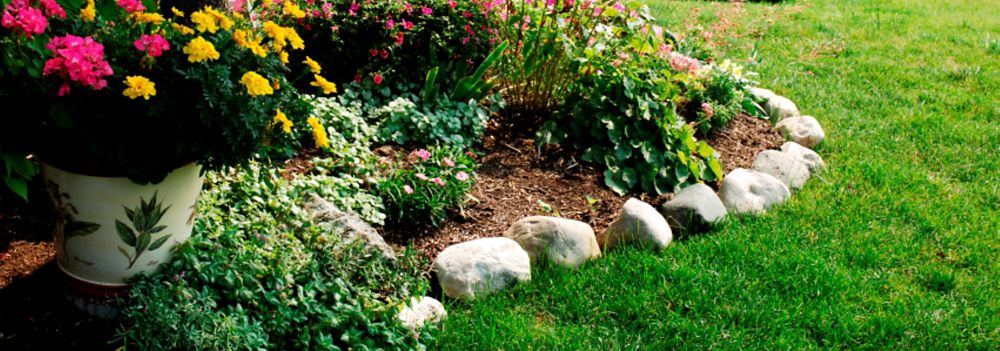 Easy Landscape Edging Ideas to Make Your Yard Shine - Sears